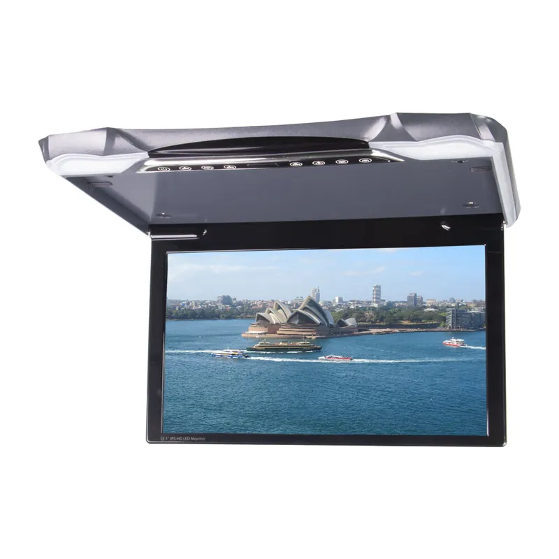 Poslední kusy - Stropní LCD monitor 11,6" / HDMI / RCA / USB / IR / FM ds-116mg