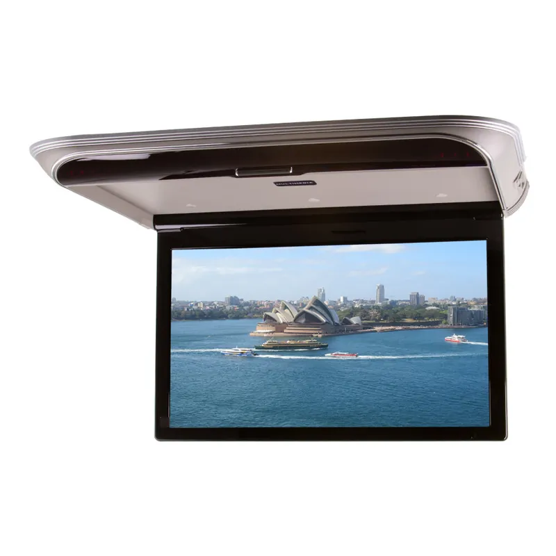 Skvělá nabídka - Stropní LCD monitor 19,5" s OS. Android USB/HDMI/IR/FM, dálkové ovládání se snímačem pohybu, šedá ds-195Acgr